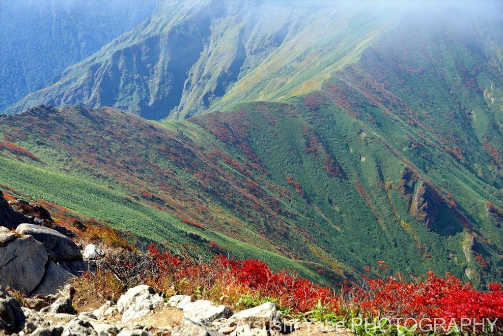 稜線と紅葉の谷川岳(谷川岳　)