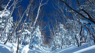 冬の日光白根山 (NO2)
